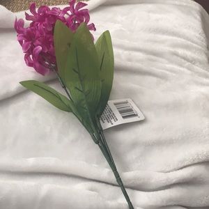 Hyacinth Flowers Stalk Purple